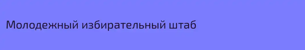 Молодежный избирательный штаб